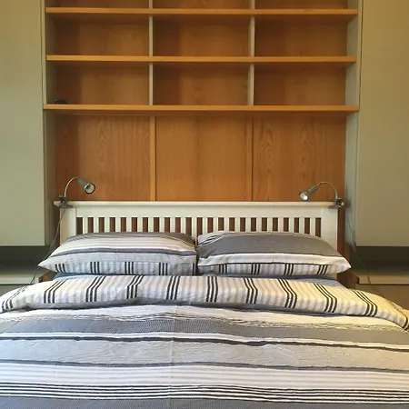 Rugby Dom wakacyjny *