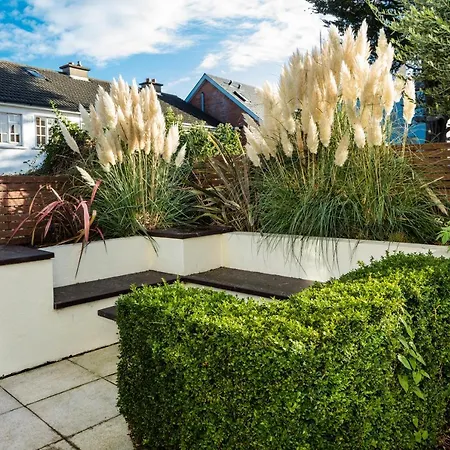 橄榄球小屋度假屋 度假居 *