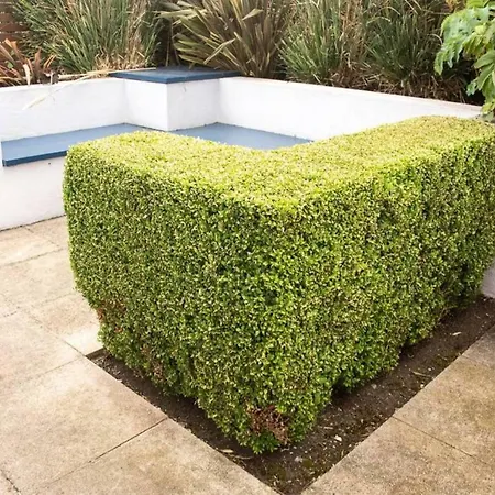 度假居 橄榄球小屋度假屋 都柏林