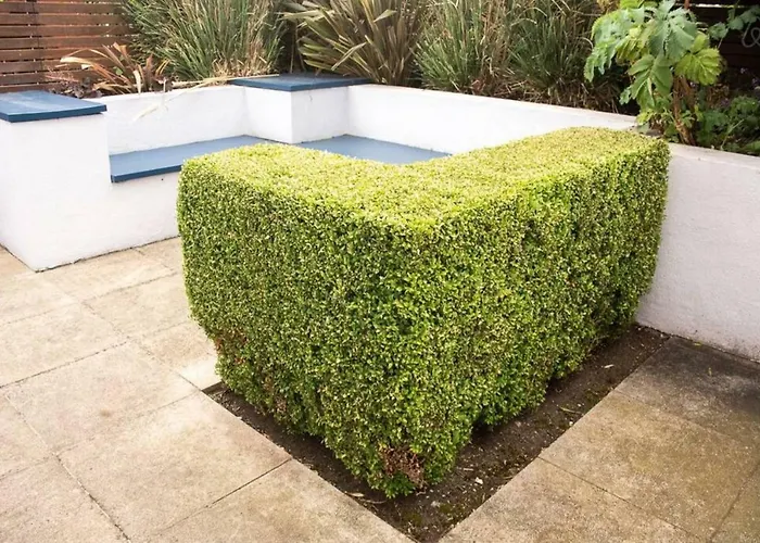 펜션 Rugby 더블린